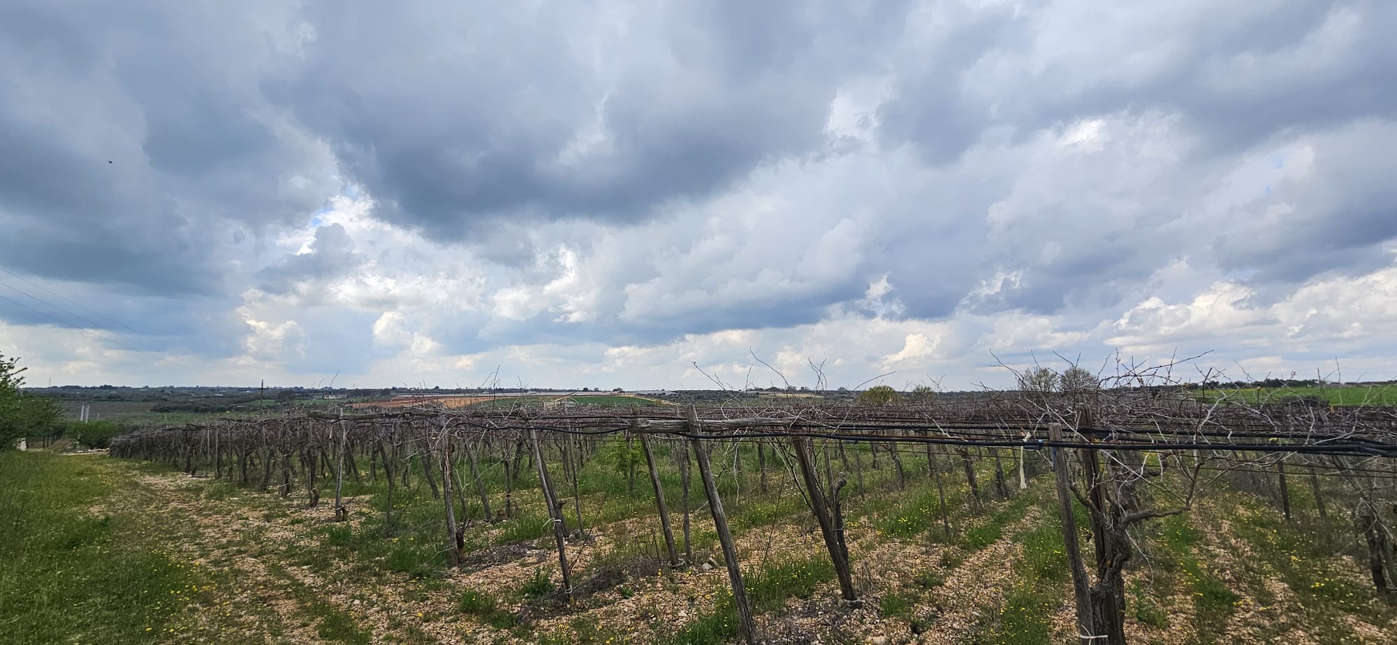 Terreno di 33.700 mq ca. con Fabbricato Rurale